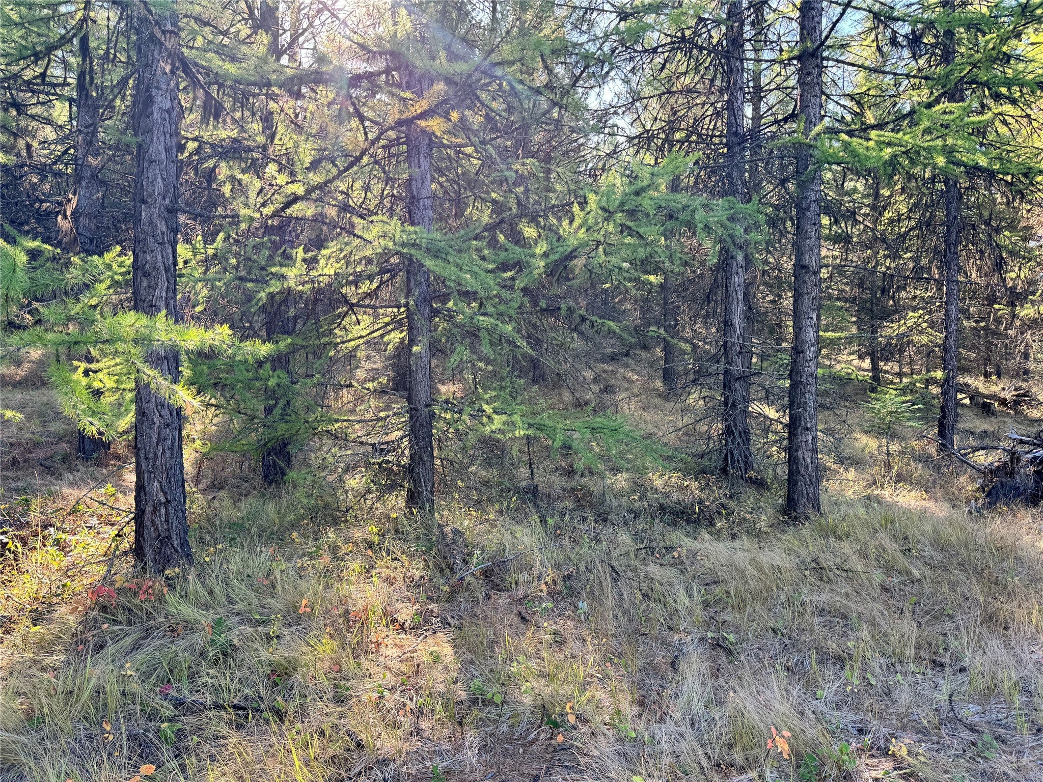 Lots 5 & 6 Panoramic View
