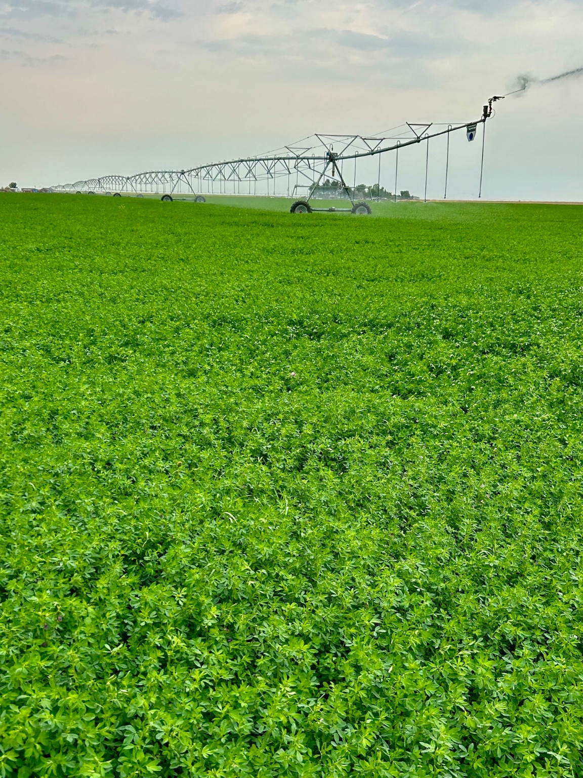 NHN 1st Road S and 12th Lane