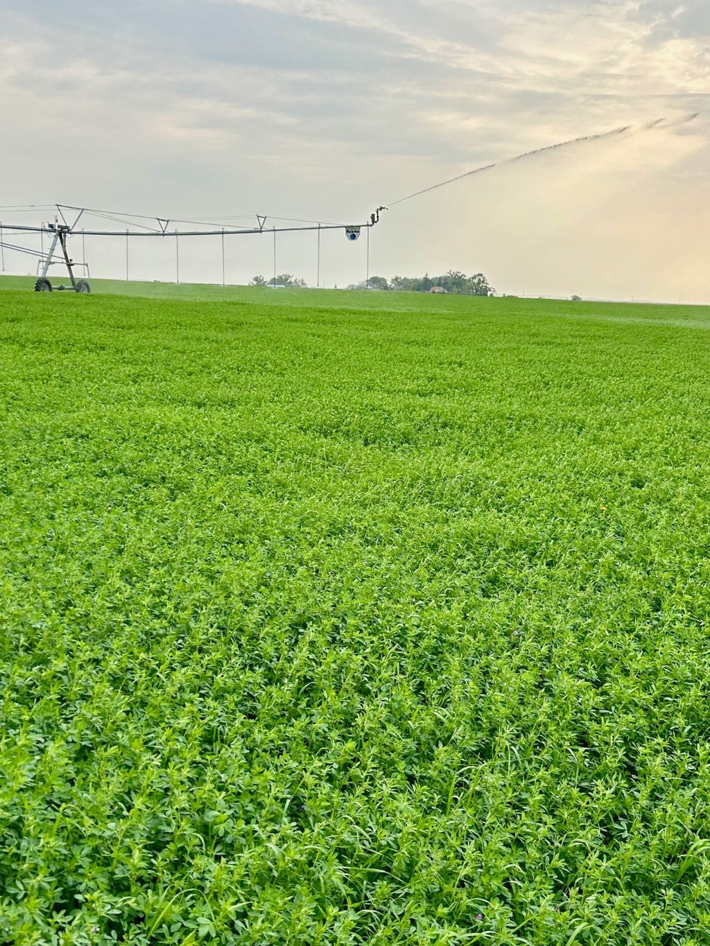 Photo of NHN 1st Road S, Fort Shaw, MT 59443 (MLS # 30061669)