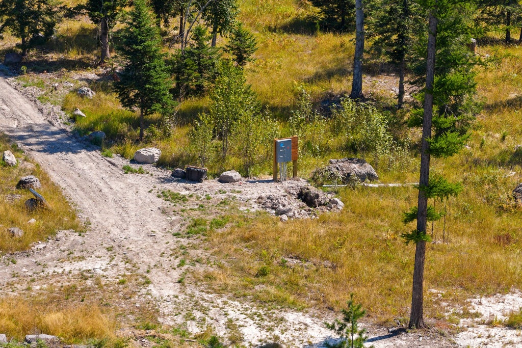Photo of 778 Pine Ridge Road, Bigfork, MT 59911 (MLS # 30077325)