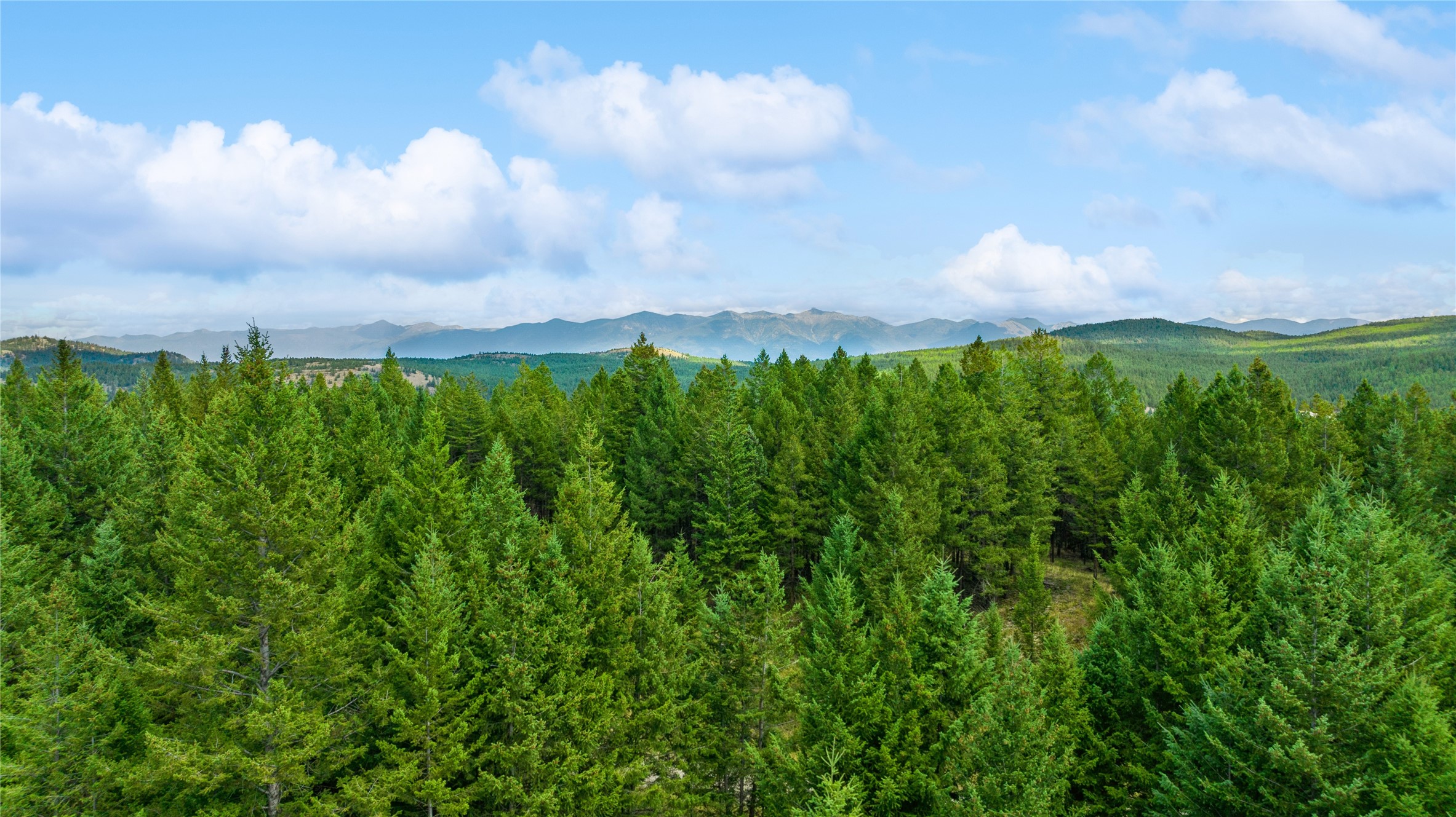 522 Moonshine Mountain Trail