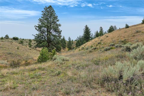 Tiny photo for NHN Granite Creek Road, Florence, MT 59833 (MLS # 30076134)
