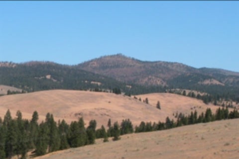 Tiny photo for NHN Granite Creek Road, Florence, MT 59833 (MLS # 30076134)