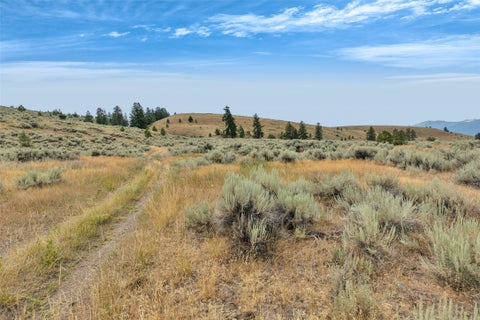 Tiny photo for NHN Granite Creek Road, Florence, MT 59833 (MLS # 30076134)