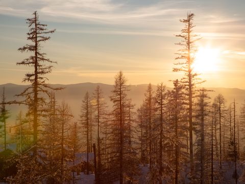 Tiny photo for 299 Elk Highlands Drive, Whitefish, MT 59937 (MLS # 30065309)