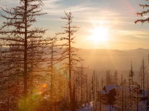 Tiny photo for 299 Elk Highlands Drive, Whitefish, MT 59937 (MLS # 30065309)