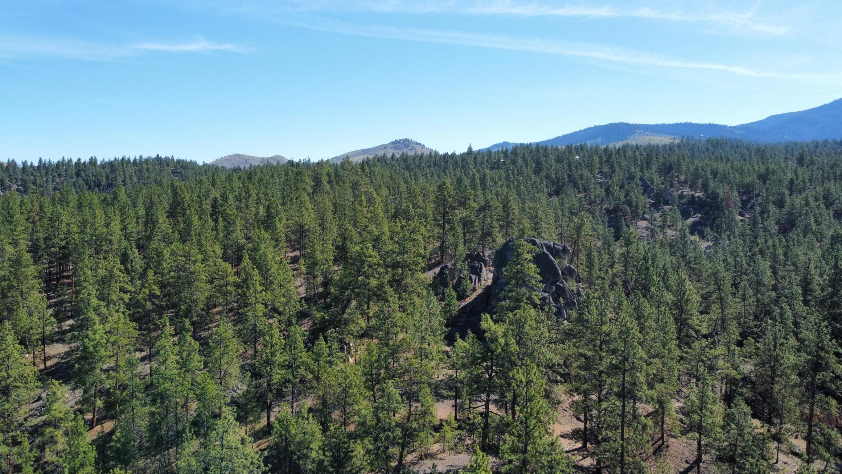 Corvallis, Montana 59828, United States, ,Land,Active,75249