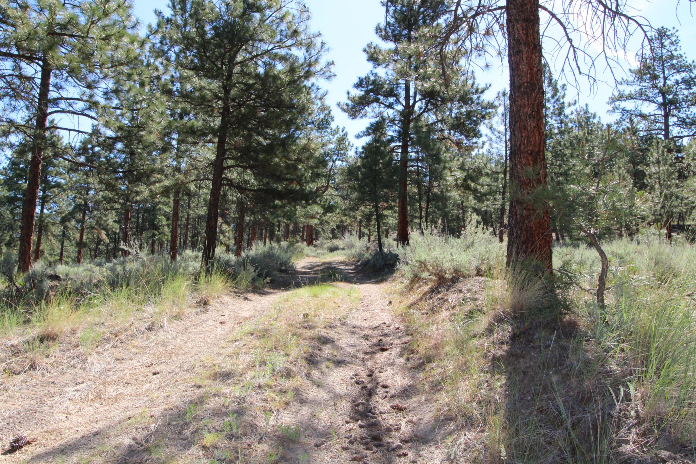 Corvallis, Montana 59828, United States, ,Land,Active,75249