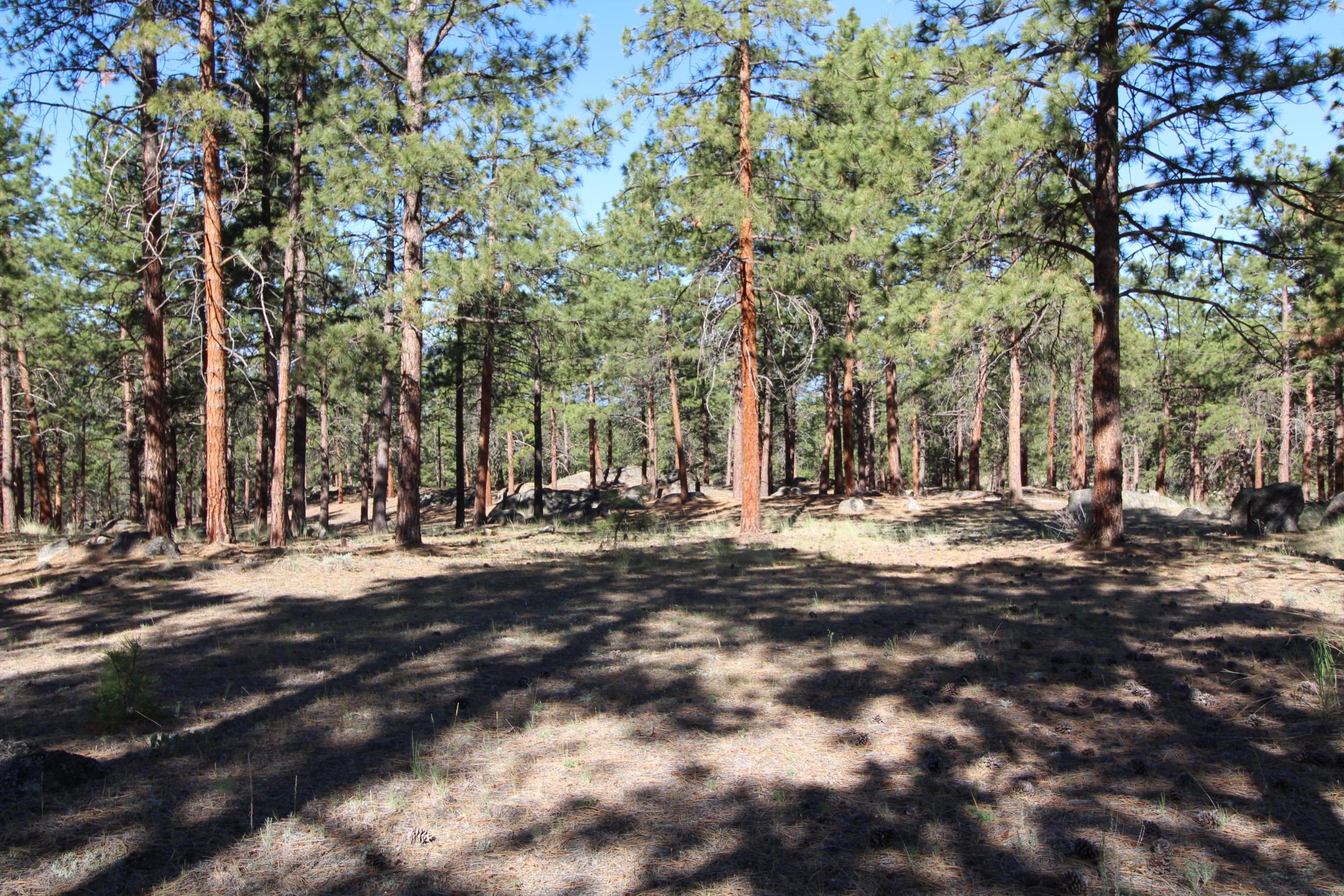 Corvallis, Montana 59828, United States, ,Land,Active,75249