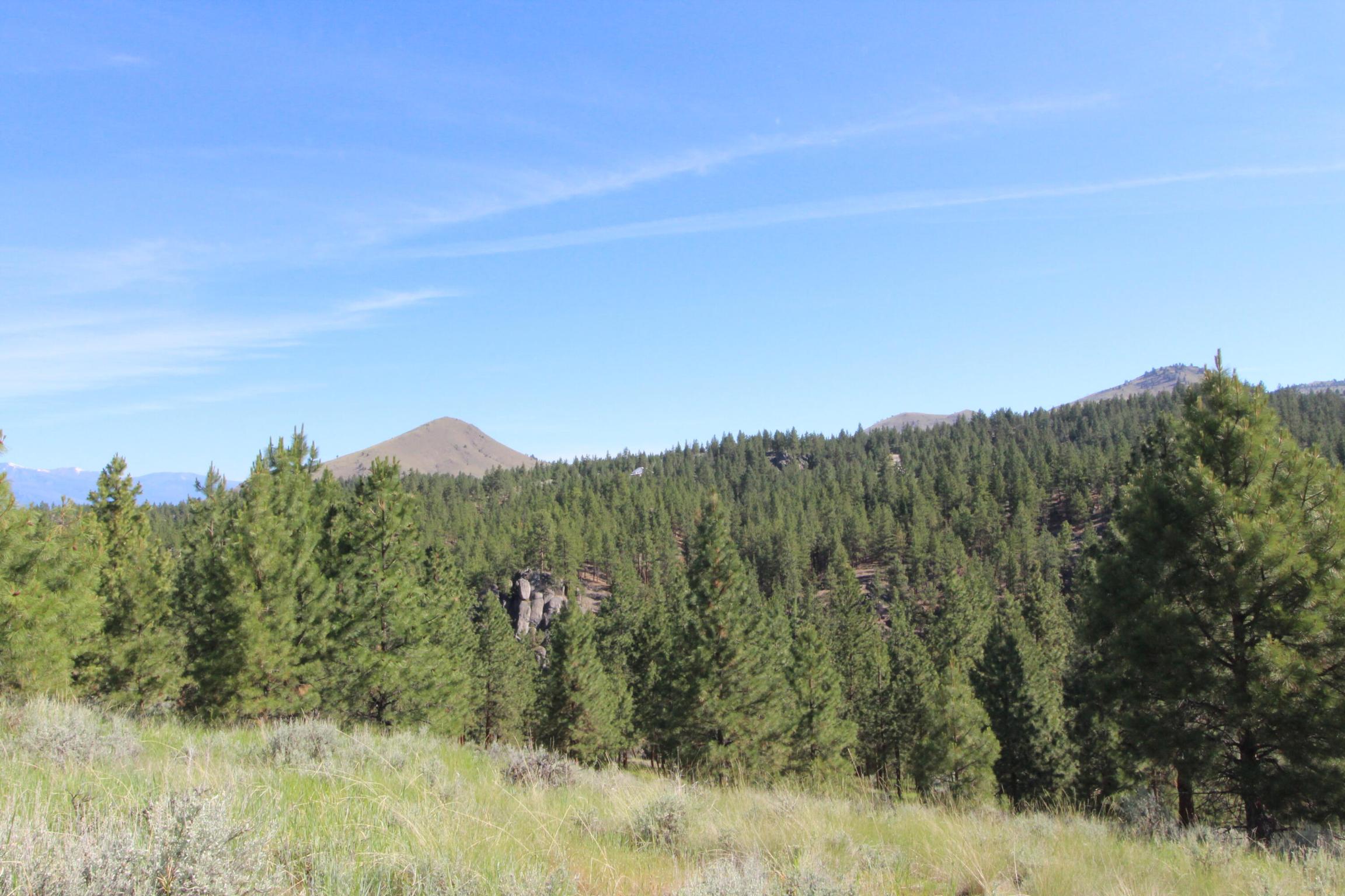 Corvallis, Montana 59828, United States, ,Land,Active,75249