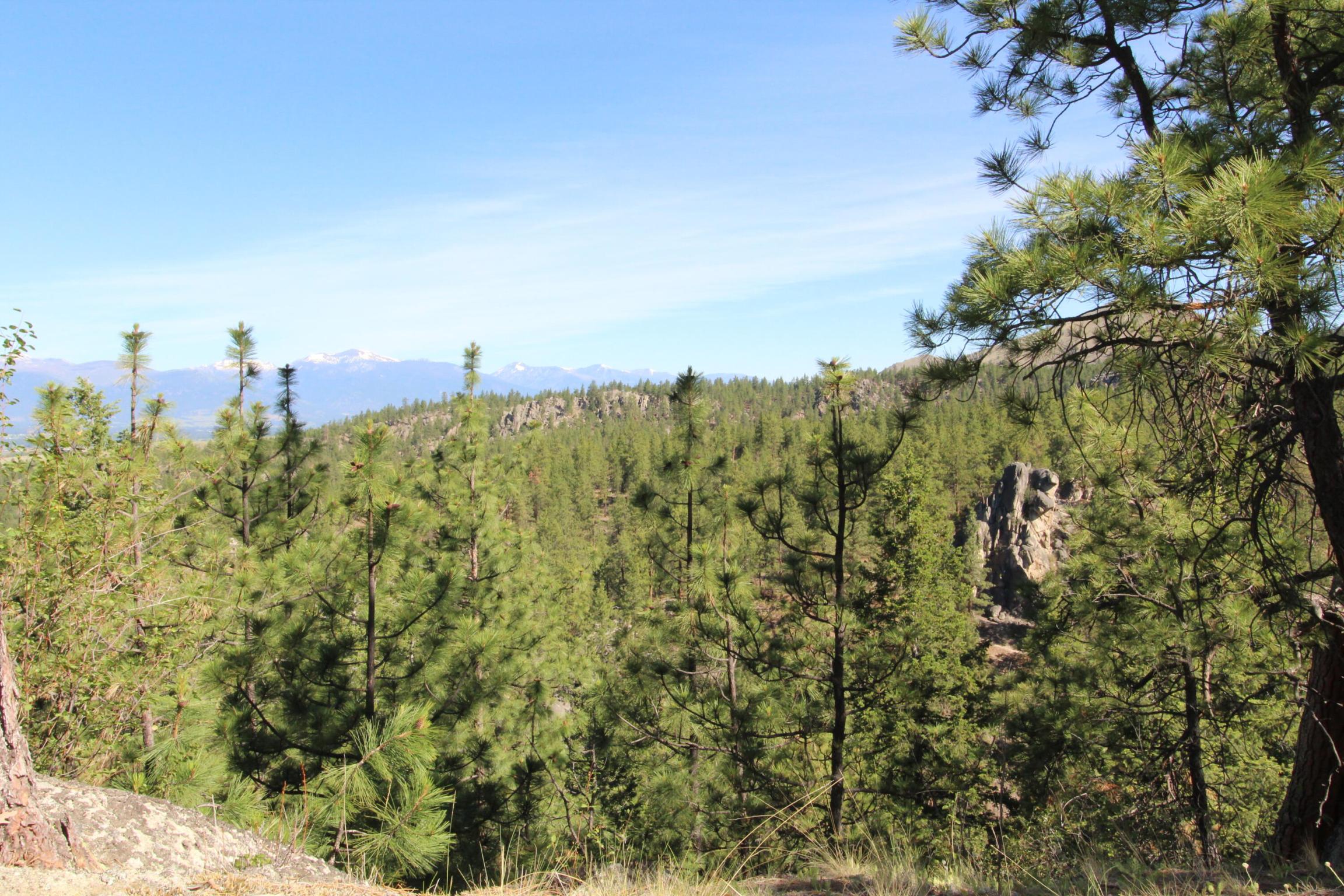 Corvallis, Montana 59828, United States, ,Land,Active,75249