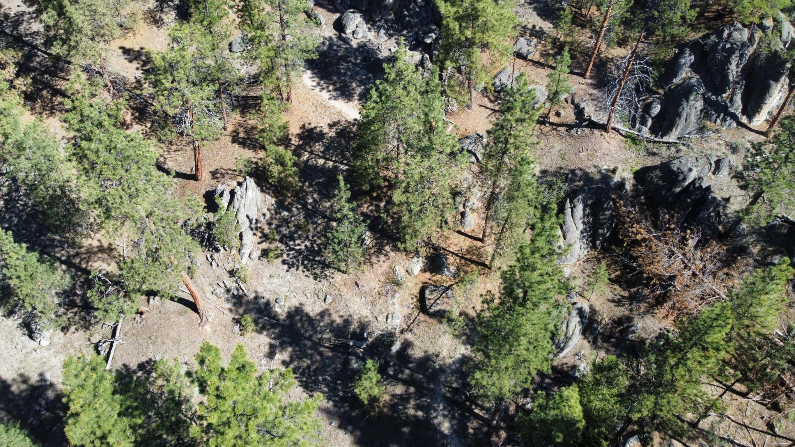 Corvallis, Montana 59828, United States, ,Land,Active,75249