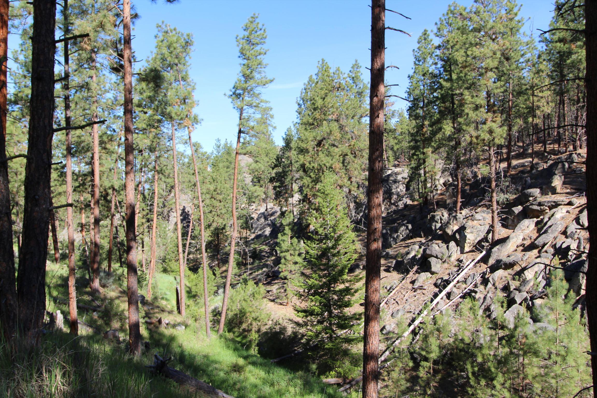 Corvallis, Montana 59828, United States, ,Land,Active,75249