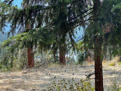 Tiny photo for 12 Trap Club Lane, Thompson Falls, MT 59873 (MLS # 30076624)