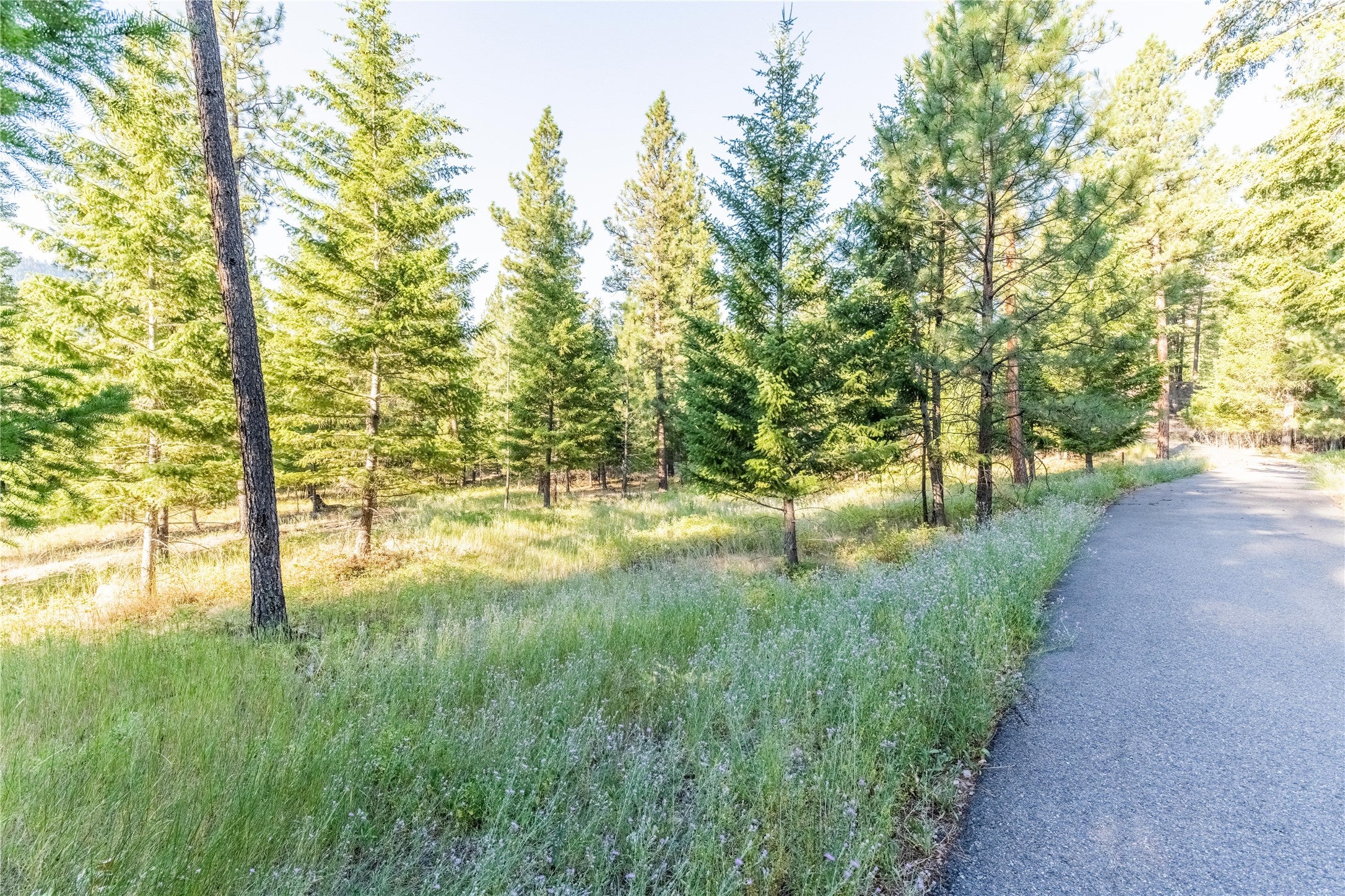 24825 Stonefly Road