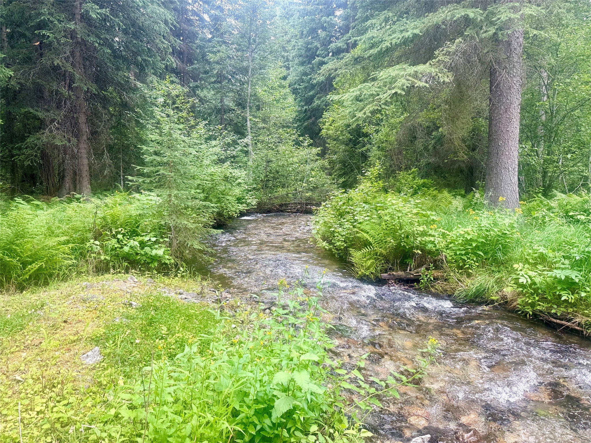 26350/26445 Butler Creek