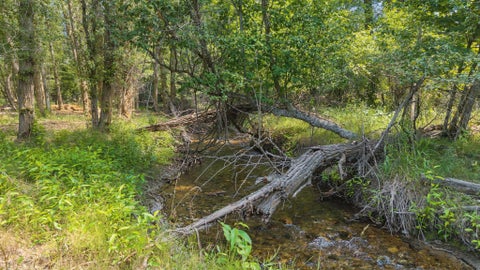 Tiny photo for 222 Lundeen Road, Eureka, MT 59917 (MLS # 30076720)