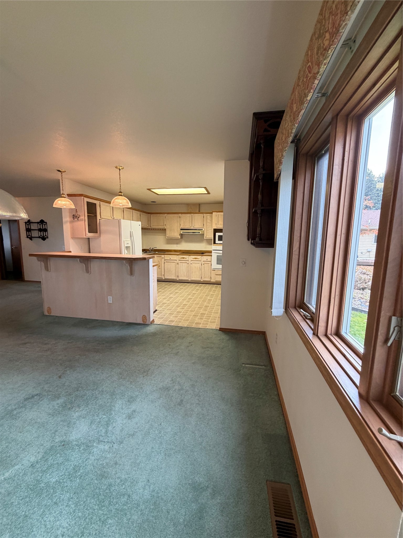 106 Trevino Drive