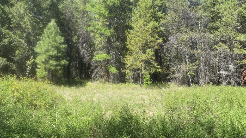 Photo of 110 Verna Court, Libby, MT 59923 (MLS # 30067965)