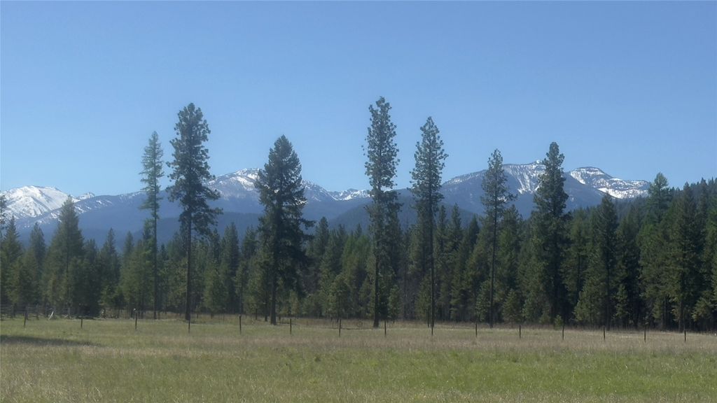 Photo of 110 Verna Court, Libby, MT 59923 (MLS # 30067965)