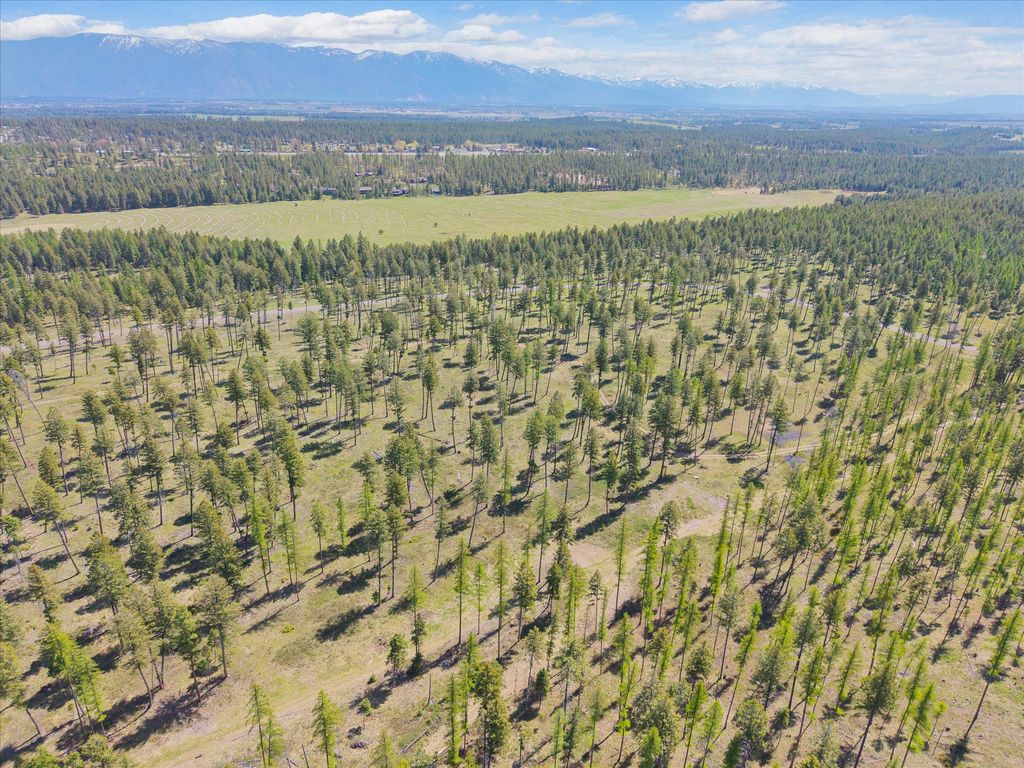 Photo of 272 Layton Road, Whitefish, MT 59937 (MLS # 30070394)