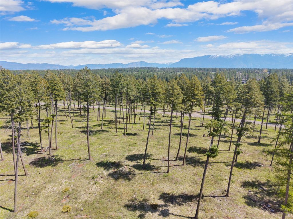 Photo of 272 Layton Road, Whitefish, MT 59937 (MLS # 30070394)