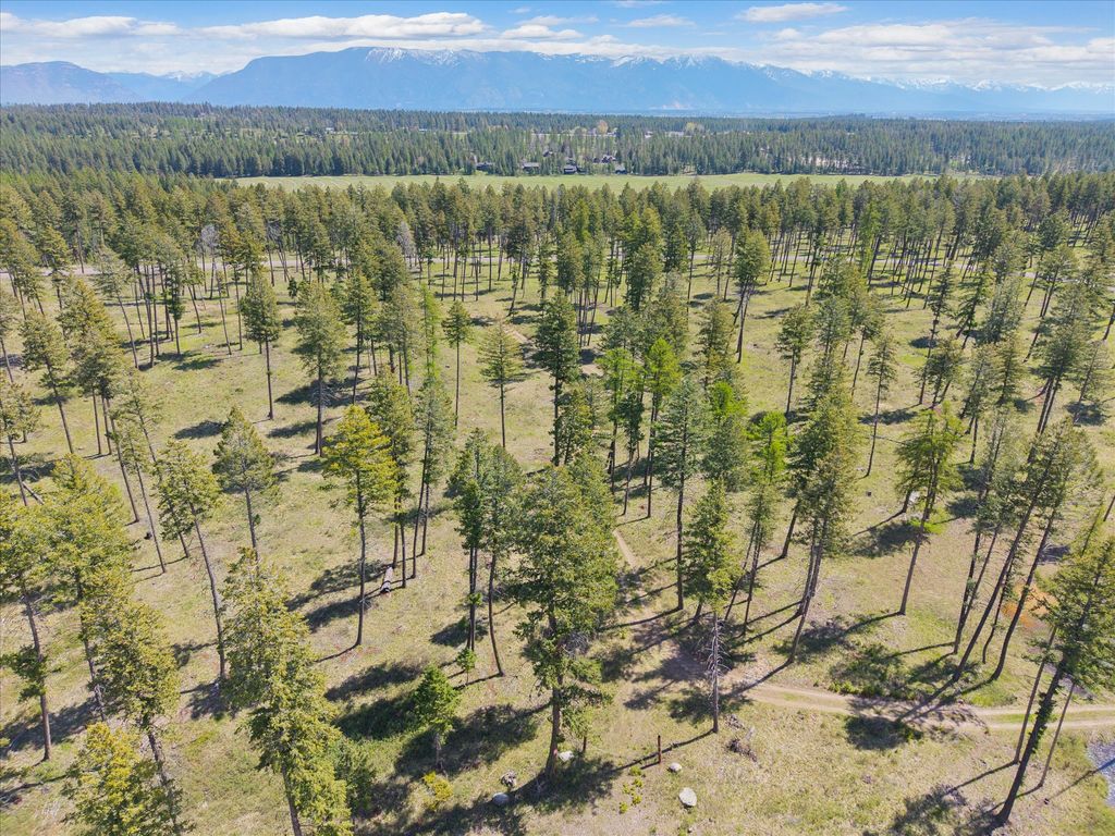 Photo of 272 Layton Road, Whitefish, MT 59937 (MLS # 30070394)