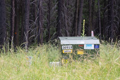 Tiny photo for 185 Rosewood Lane #Lot 14, Whitefish, MT 59937 (MLS # 30053494)