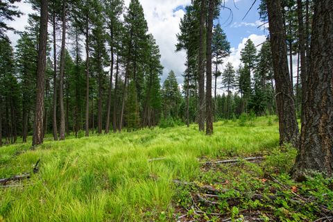 Photo of 185 Rosewood Lane #Lot 14, Whitefish, MT 59937 (MLS # 30053494)