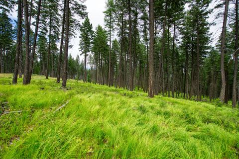 Tiny photo for 185 Rosewood Lane #Lot 14, Whitefish, MT 59937 (MLS # 30053494)