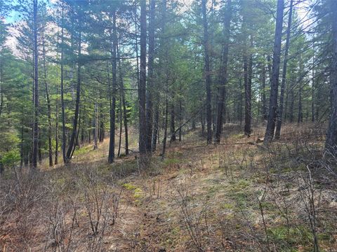 Tiny photo for 425 Colorado Gulch Road, Missoula, MT 59808 (MLS # 30068400)