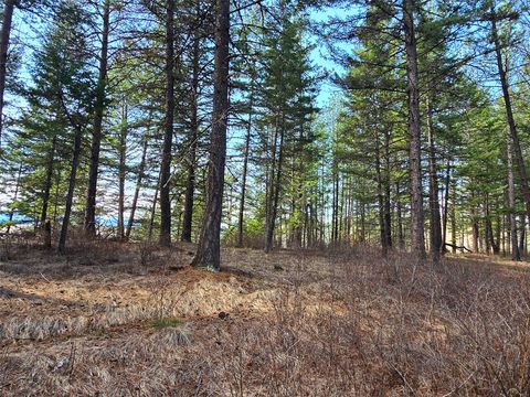 Tiny photo for 425 Colorado Gulch Road, Missoula, MT 59808 (MLS # 30068400)