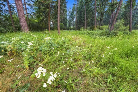 Tiny photo for 381 Dunwoody Lane, Columbia Falls, MT 59912 (MLS # 30075896)