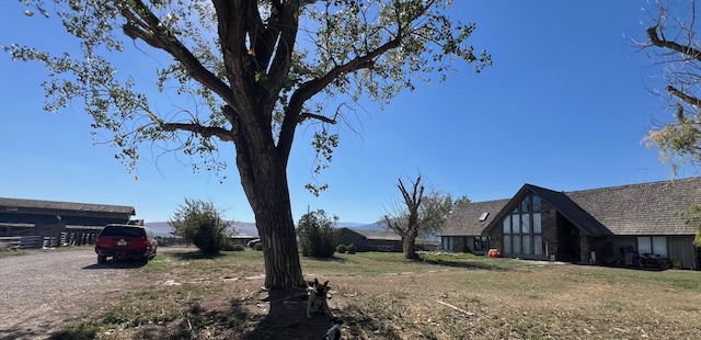 63 Roosma Road