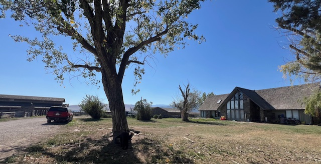 63 Roosma Road