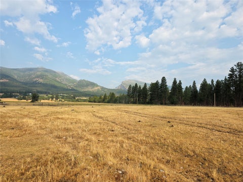 Tiny photo for 347 Mill Creek Road, Hamilton, MT 59840 (MLS # 30076890)
