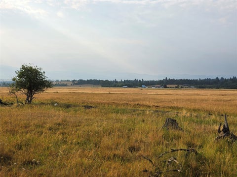 Tiny photo for 347 Mill Creek Road, Hamilton, MT 59840 (MLS # 30076890)