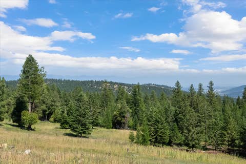 Tiny photo for 1480 Sherman Road, Kalispell, MT 59901 (MLS # 30073620)