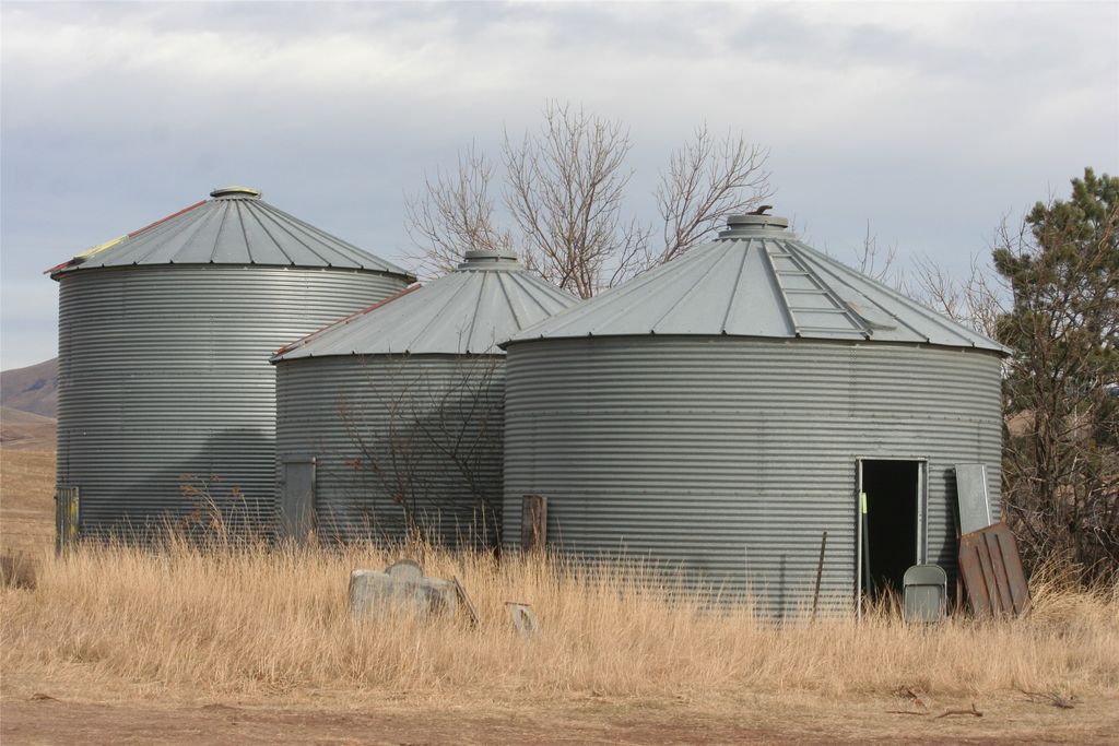 Photo of 981 Cora Creek Road, Raynesford, MT 59469 (MLS # 30051549)