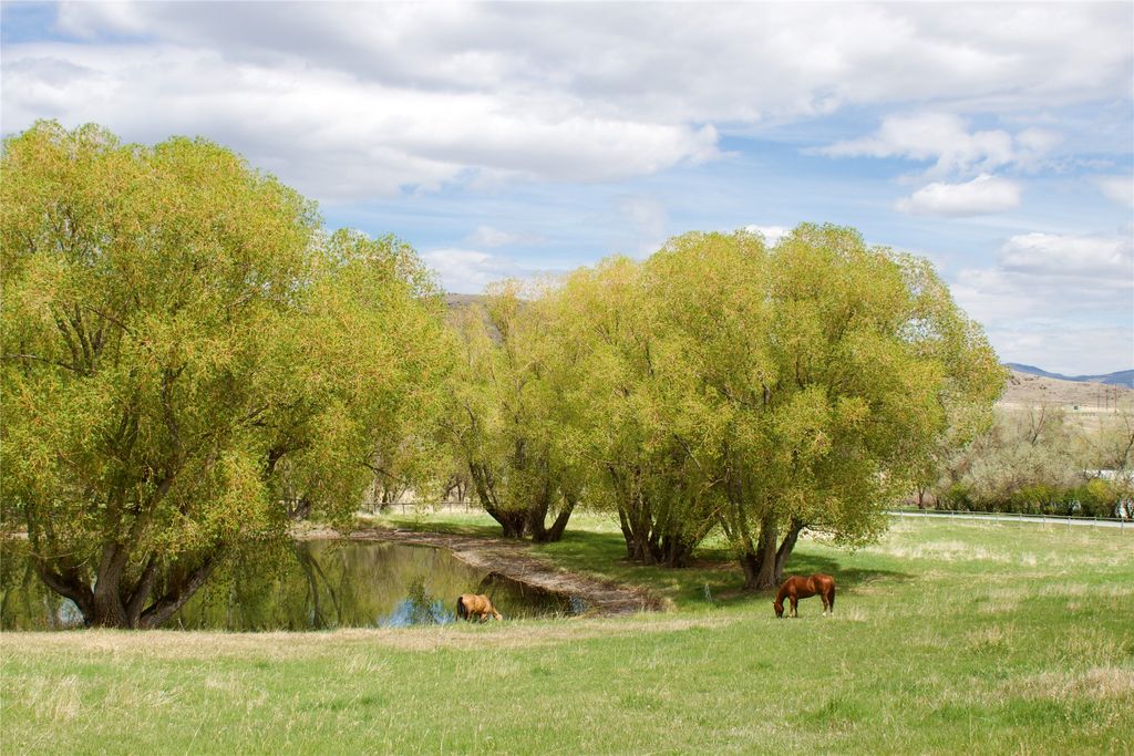 Photo of Whitehall, MT 59759 (MLS # 30070762)