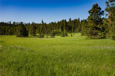 Tiny photo for NHN Northshore Drive #Lot 44, Bigfork, MT 59911 (MLS # 30076167)
