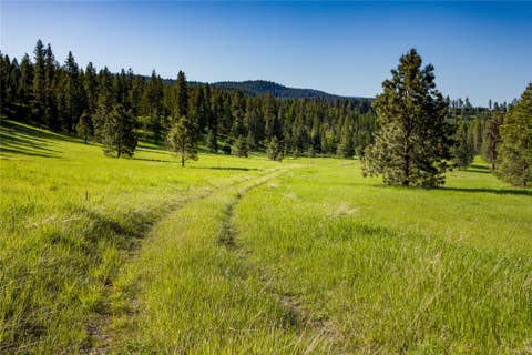 Tiny photo for NHN Northshore Drive #Lot 44, Bigfork, MT 59911 (MLS # 30076167)
