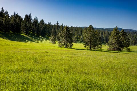 Tiny photo for NHN Northshore Drive #Lot 44, Bigfork, MT 59911 (MLS # 30076167)