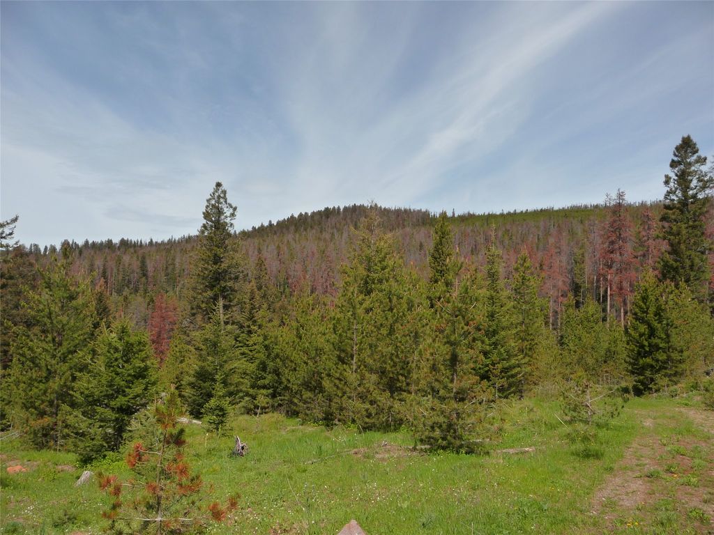 Photo of 263 Wild Hill Lane, Lincoln, MT 59639 (MLS # 30069602)