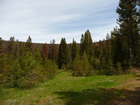 Photo of 263 Wild Hill Lane, Lincoln, MT 59639 (MLS # 30069602)