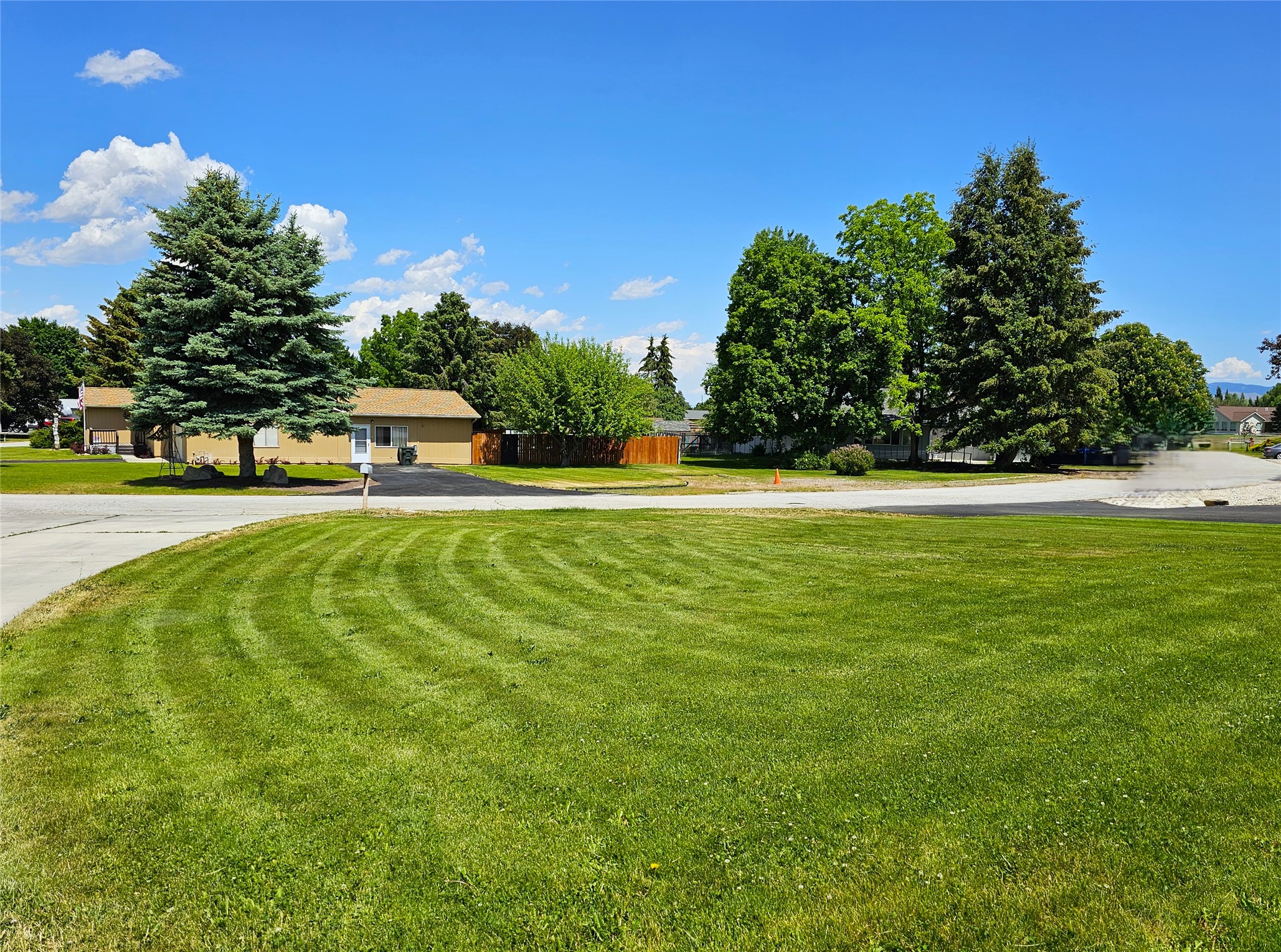 239 Antigone Drive