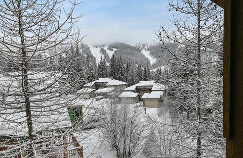 Tiny photo for 301 Wood Run Drive #D, Whitefish, MT 59937 (MLS # 30064668)