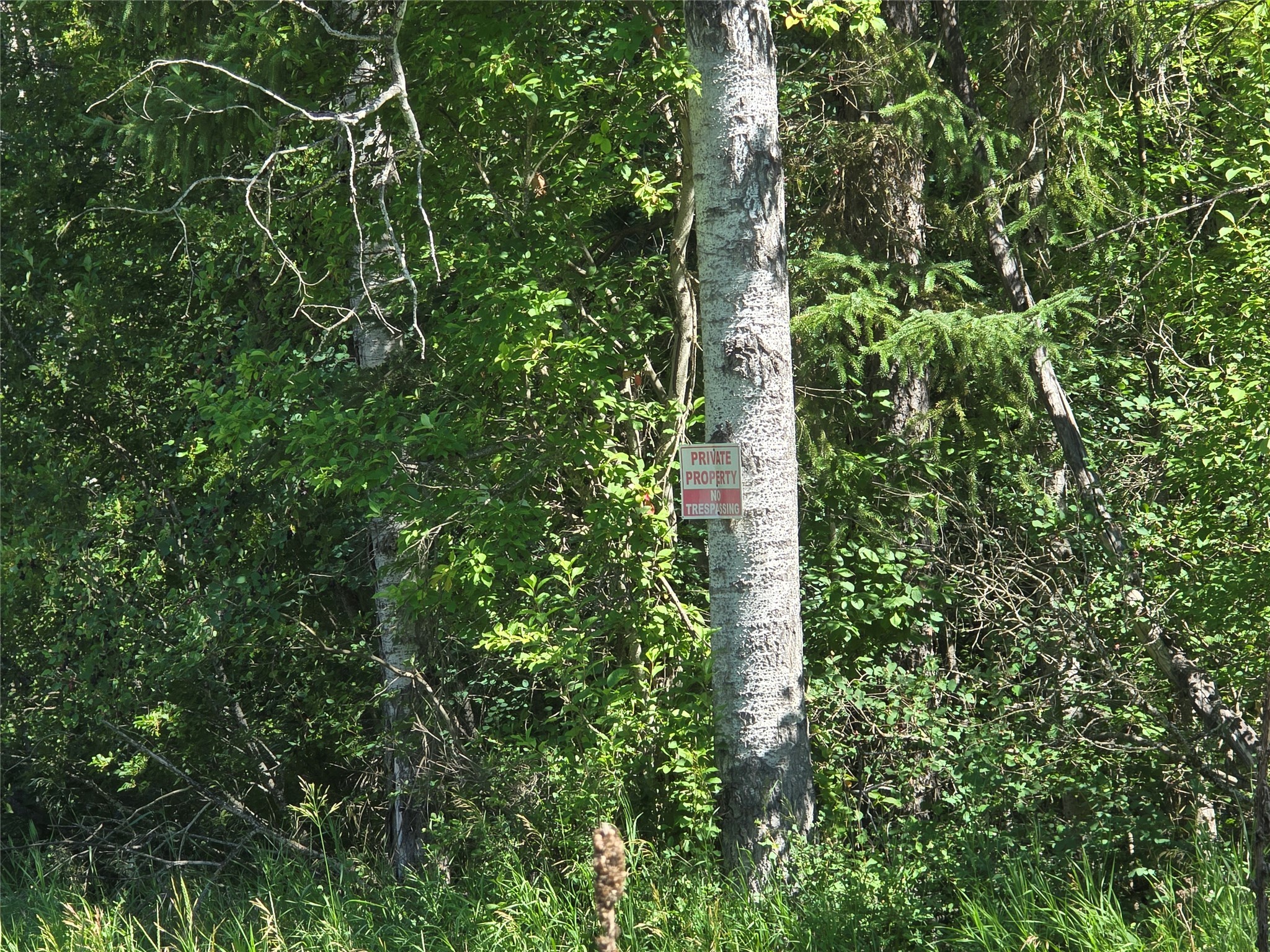 NHN S Side Road