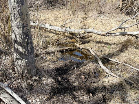 Tiny photo for TBD Lone Pine Gulch Road, Ramsay, MT 59748 (MLS # 30069160)