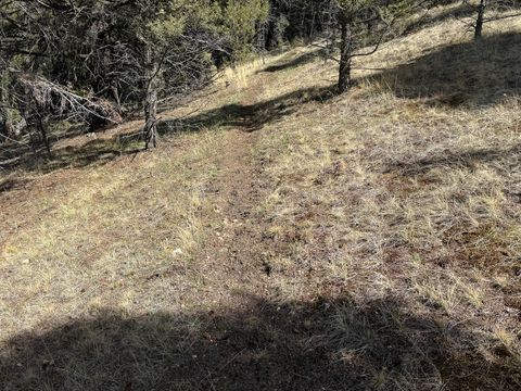 Tiny photo for TBD Lone Pine Gulch Road, Ramsay, MT 59748 (MLS # 30069160)